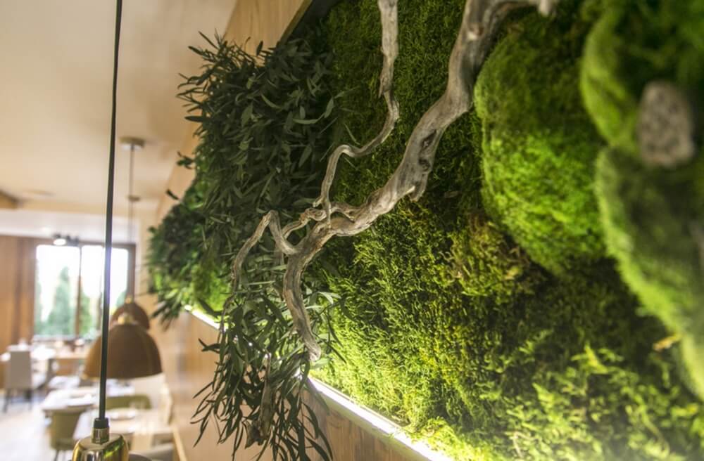 vue de profil d'un mur végétal stabilisé restaurant