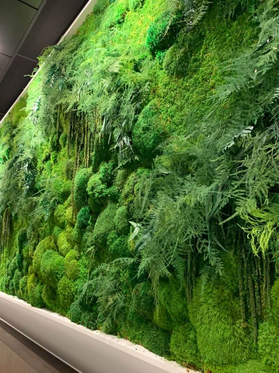 Mur végétal stabilisé vert couvrant un pan de mur dans un salon