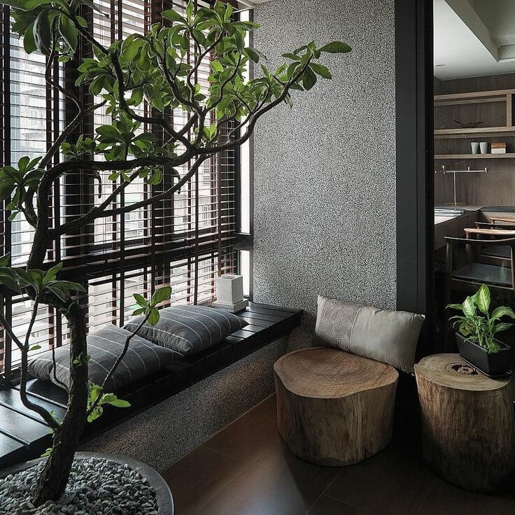 Intérieur tamisé avec branche d'arbre, souches en bois, plantes