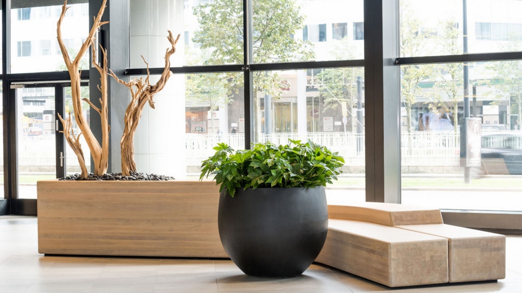 Pot gris avec plante verte posé près d’une baie vitrée