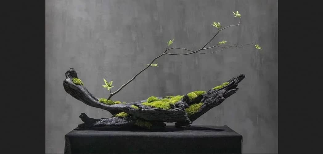 composition sur pierre de mousse stabilisée et branche de noisetier