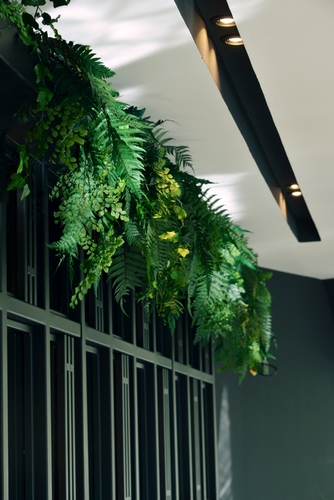 Suspensions plafonniers décoratives avec plantes stabilisées tombantes