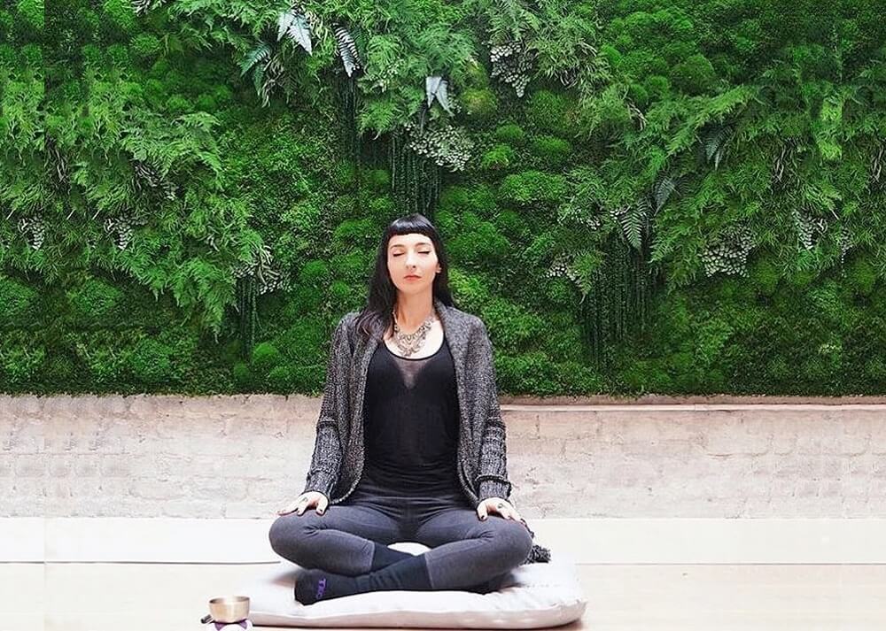 zen attitude devant un mur vegetal stabilisé dans un spa