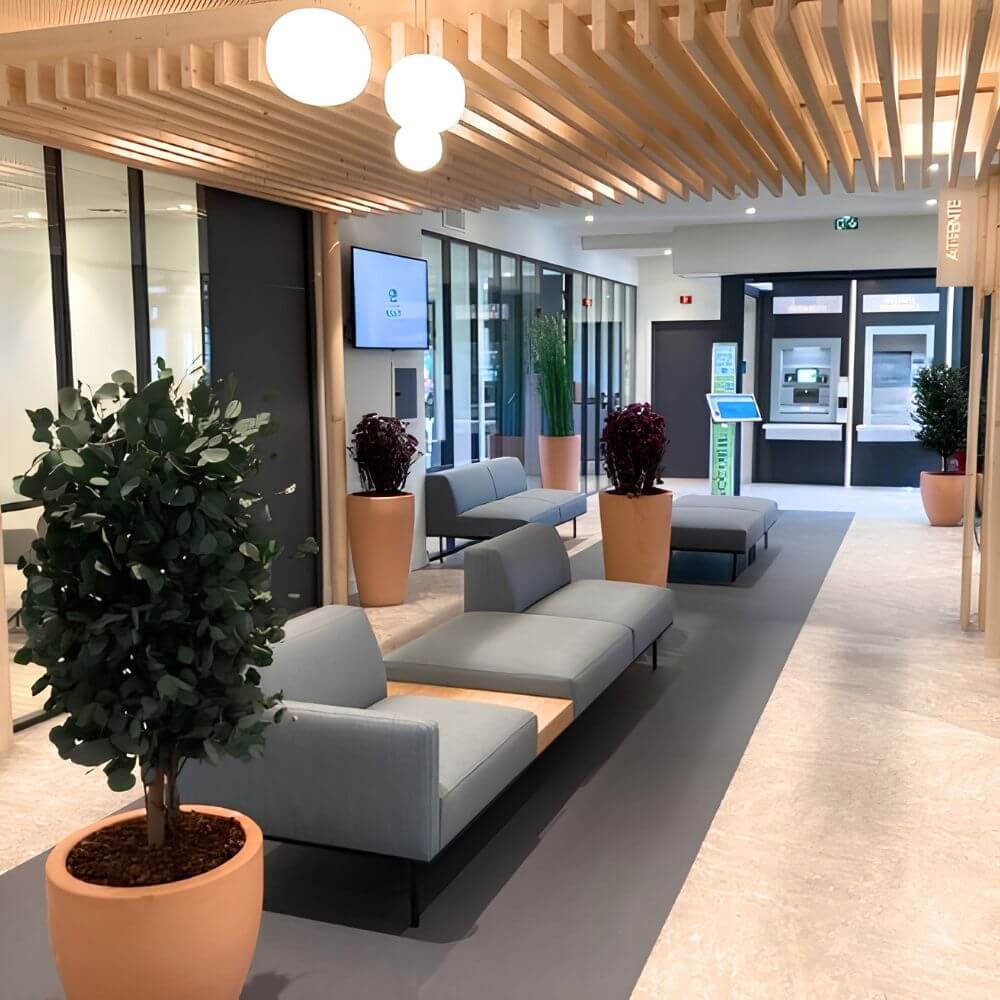plantes stabilisées dans des pots de ravel dans les accés d'une agence bancaire