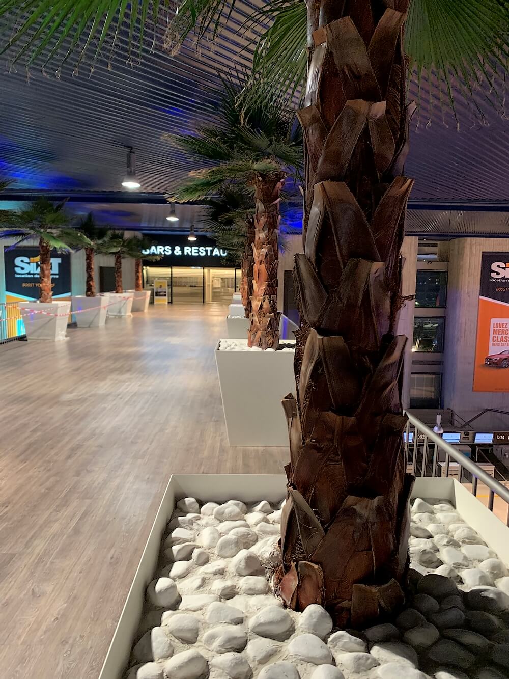 Zoom sur le tronc réaliste d'un palmier stabilisé installé dans un bac blanc à l'aéroport de Nice.