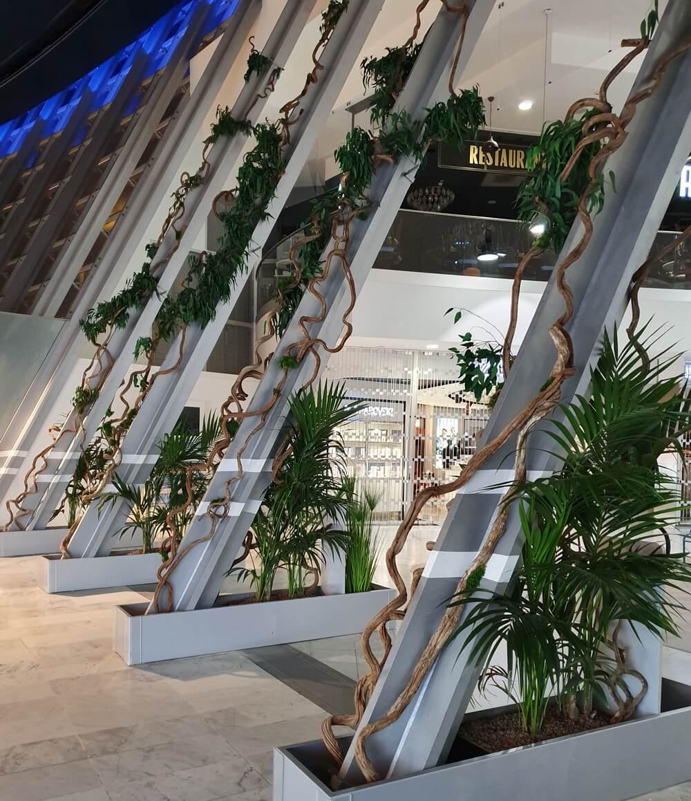 Lianes végétales stabilisées suspendues retombant le long d'une structure métallique dans un l'espace commercial aeroport nice côte d'azur.