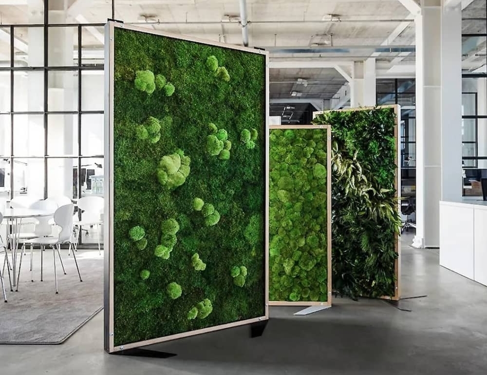 photo de 3 murs vegetaux stabilisés autoportés en entreprise 