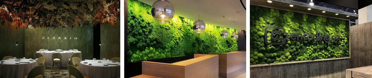 plafond et murs vegetaux stabilisés restaurant , lobby et entreprise
