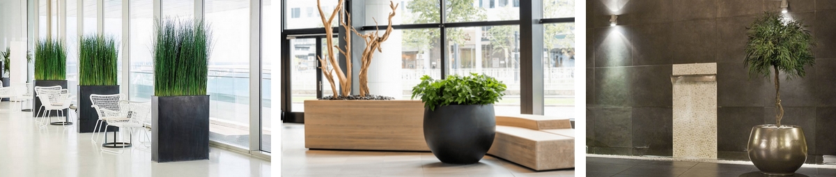 3 photos de plantes stabilisées et pots univers entreprise