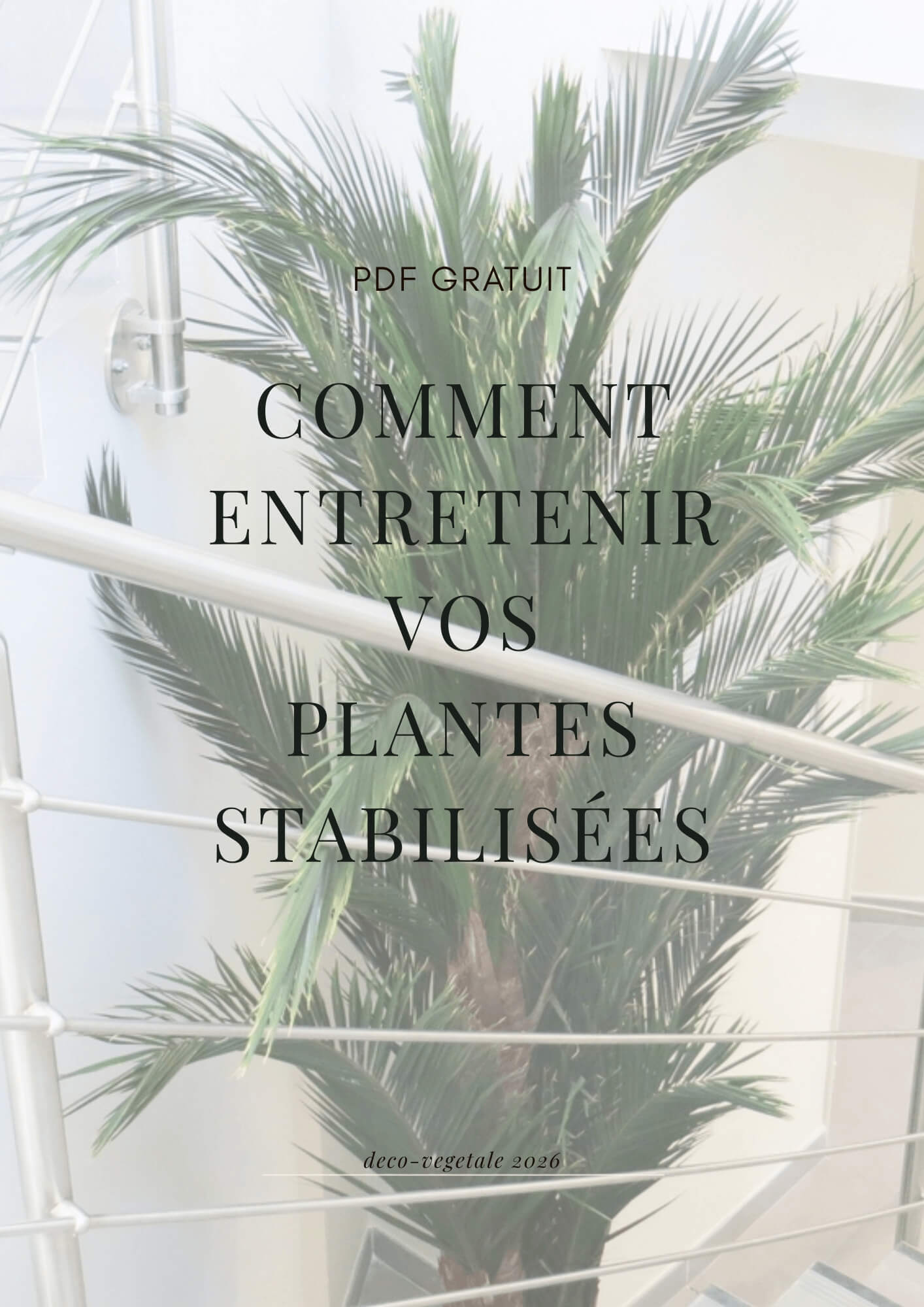 guide pdf gratuit comment entretenir vos plantes stabilisées