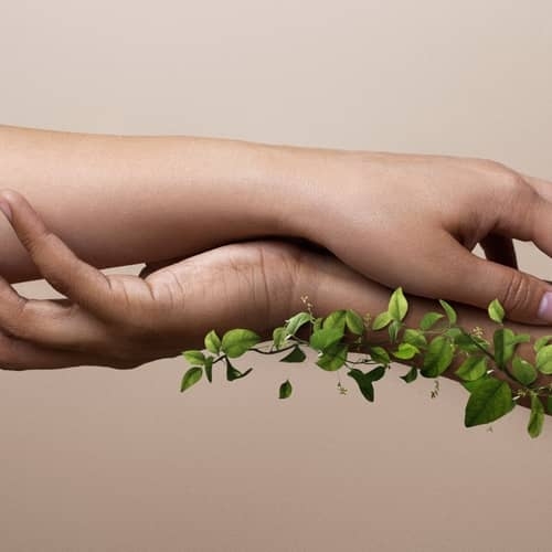 Jeune pousse verte dans la main pour illustrer l’écologie et la responsabilité