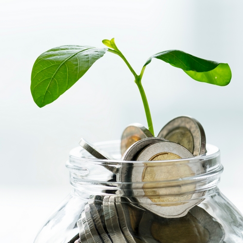 jeun epousse dans un pot en verre rempli d'euros pour representer le cout des plantes stabilisées
