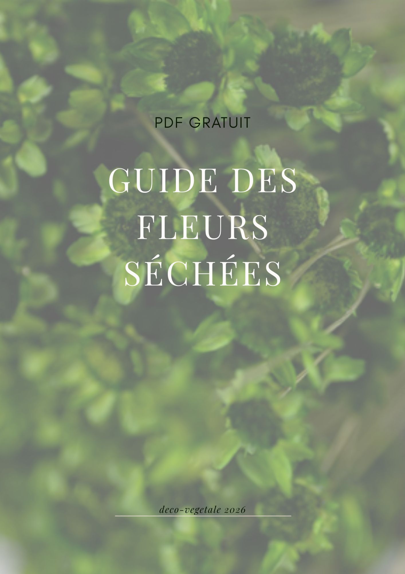 guide pdf gratuit des fleurs séchées