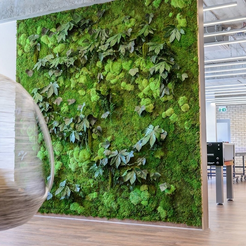 Murs végétaux stabilisés pour aménager un espace de travail moderne