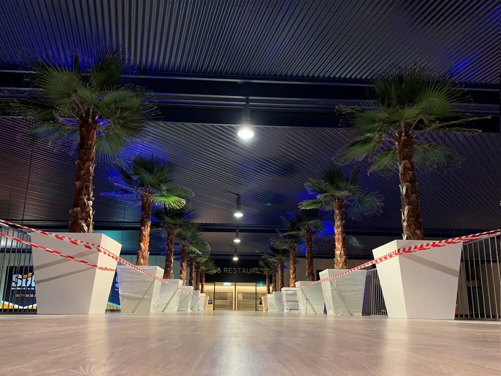 palmiers stabilisés en cours d'installation a l'aeroport nice côté d'azur
