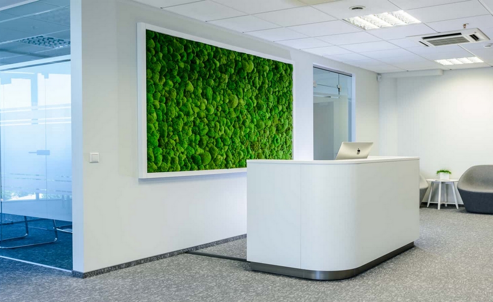 tableau vegetal sur mesure en mousse boule stabilisée 